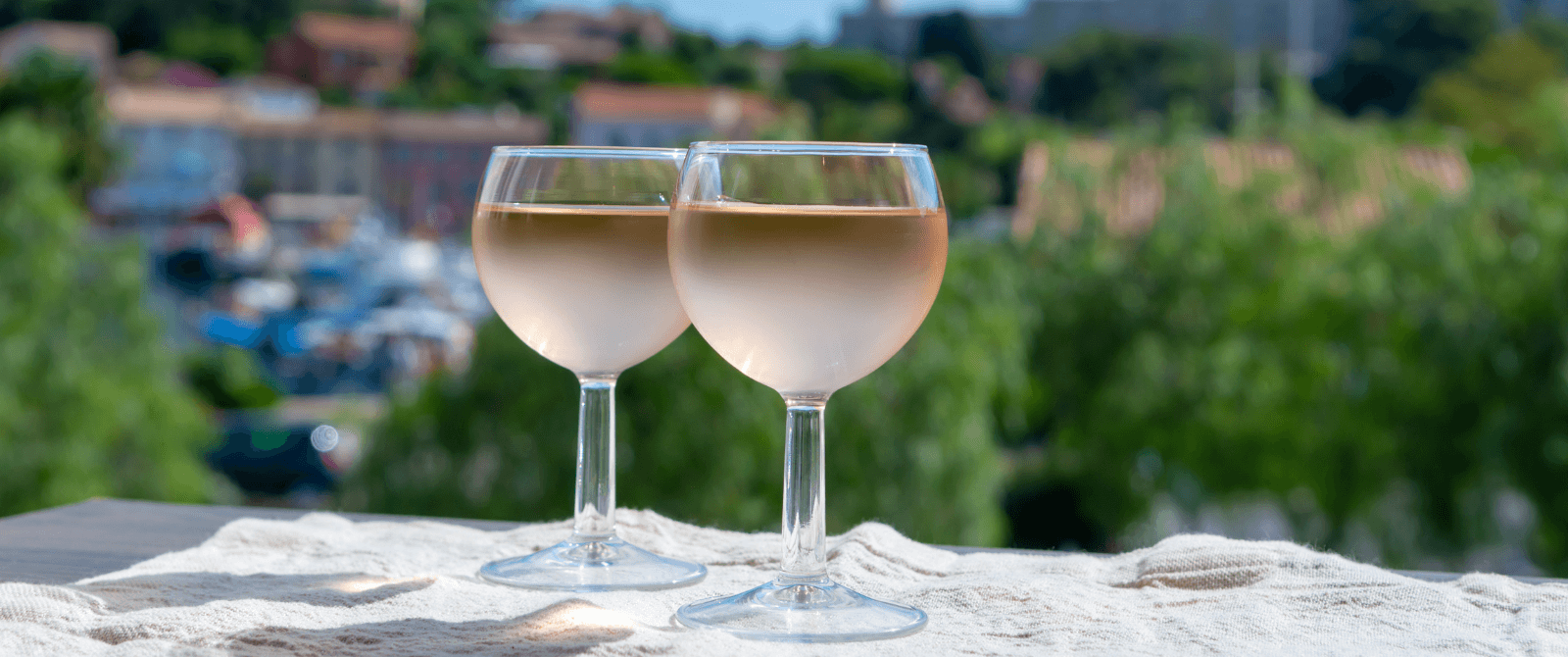Wine tasting in the countryside