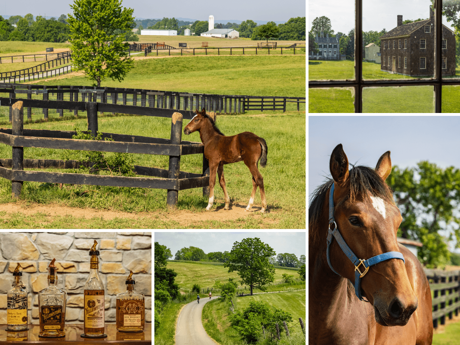 Bike Tour in Kentucky's Bourbon Country