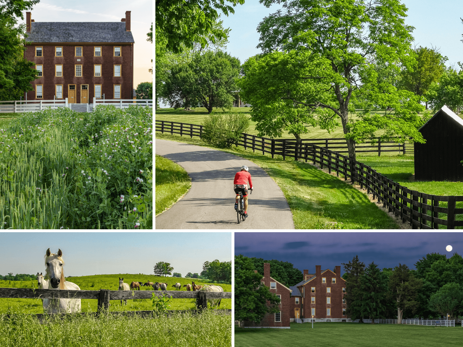 Bourbon Trail Bike Trip