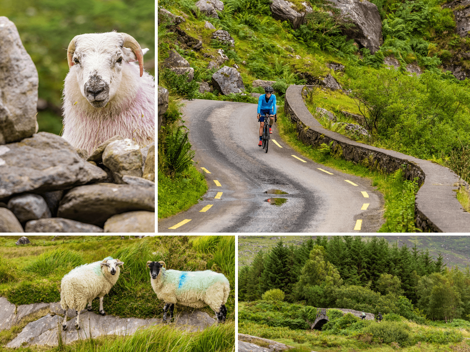 Ireland Bike Trip