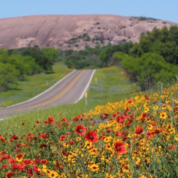 Enchanted Rock State Park