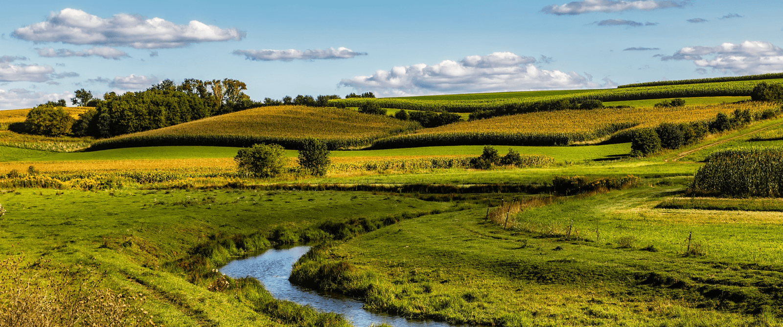 Landscape around Madison, Wisconsin