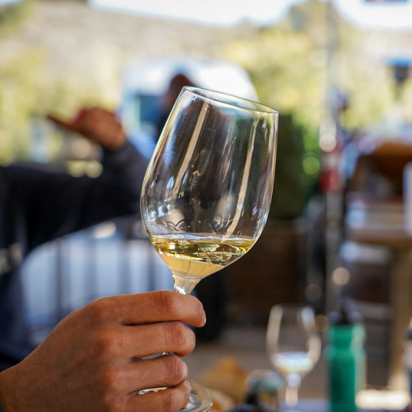 Sample wine in Amboise