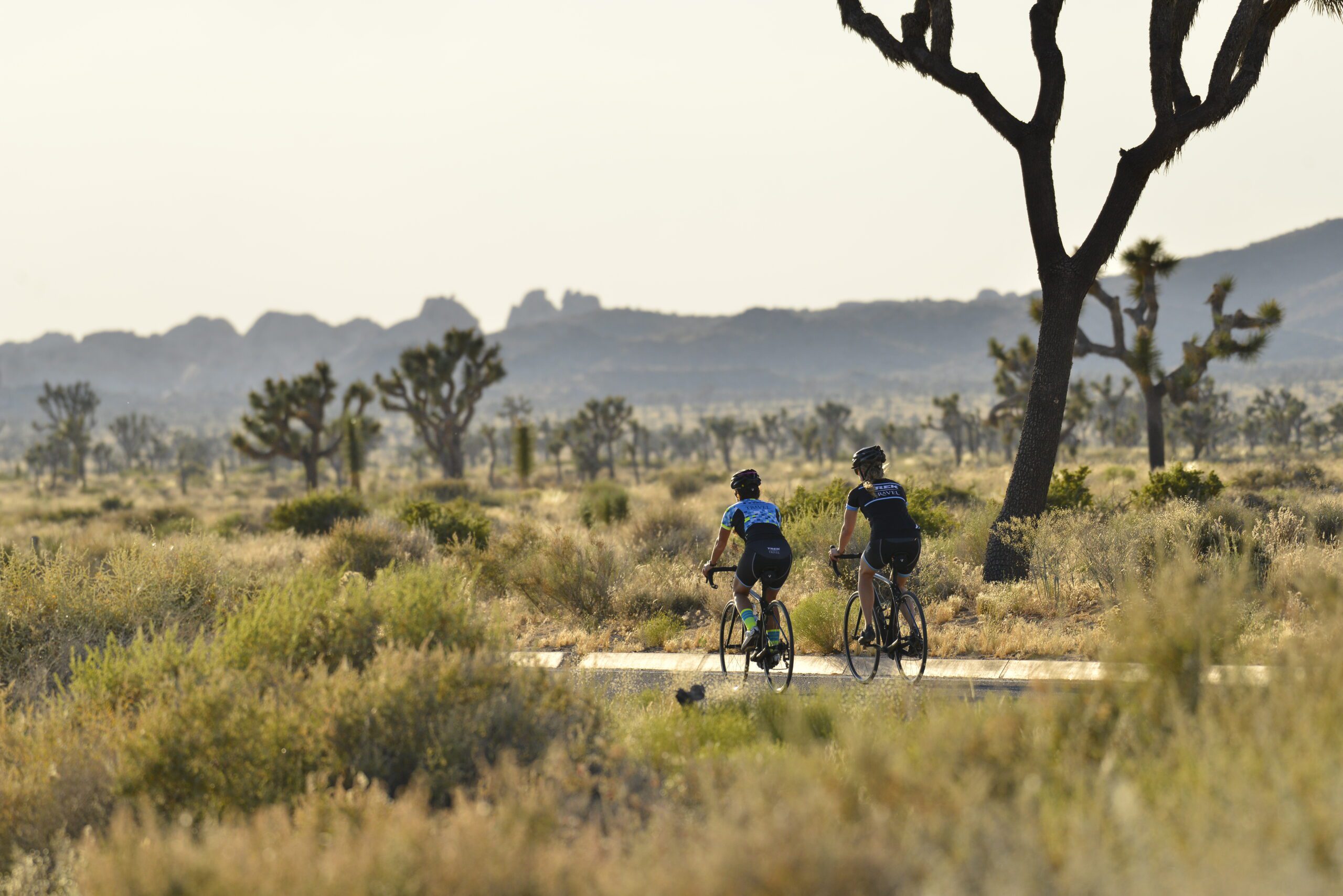 Palm Springs and Joshua Tree National Park Bike Tour - Trek Travel