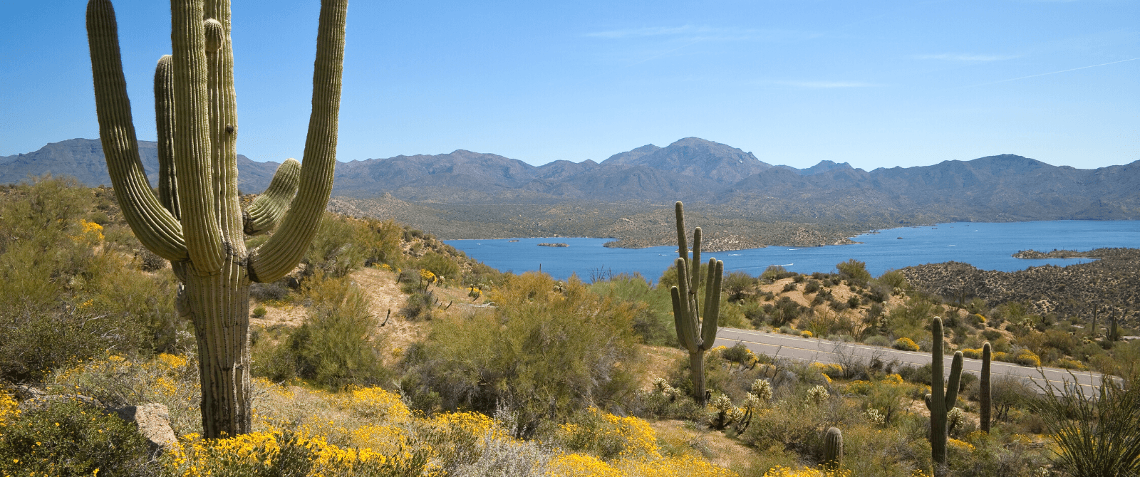 Bartlett Lake