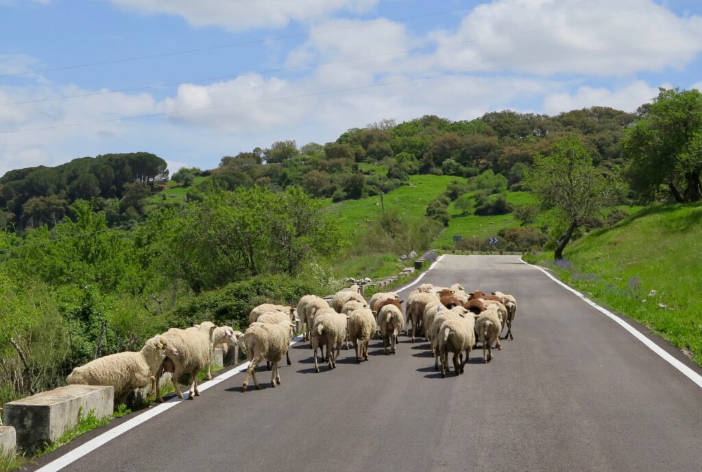 Andalucia Self-Guided Bike Tour