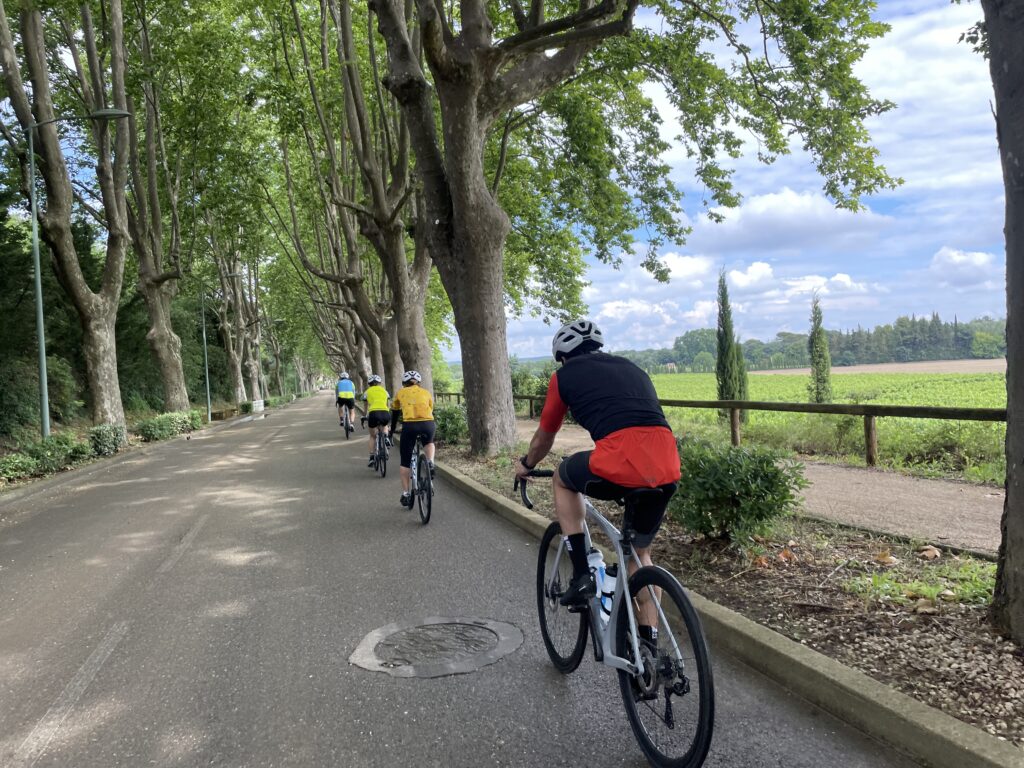 Provence Countryside Bike Tour