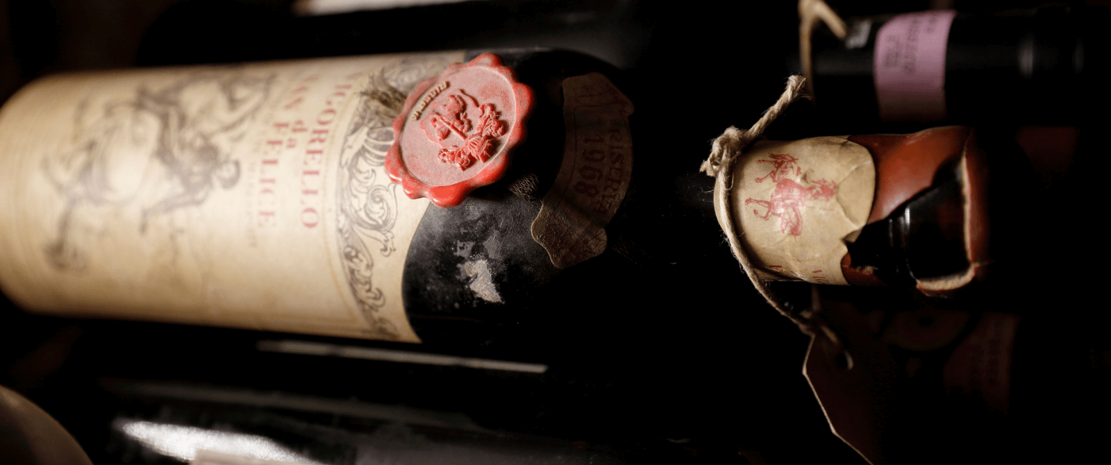 Wine tasting at Castello di Volpaia