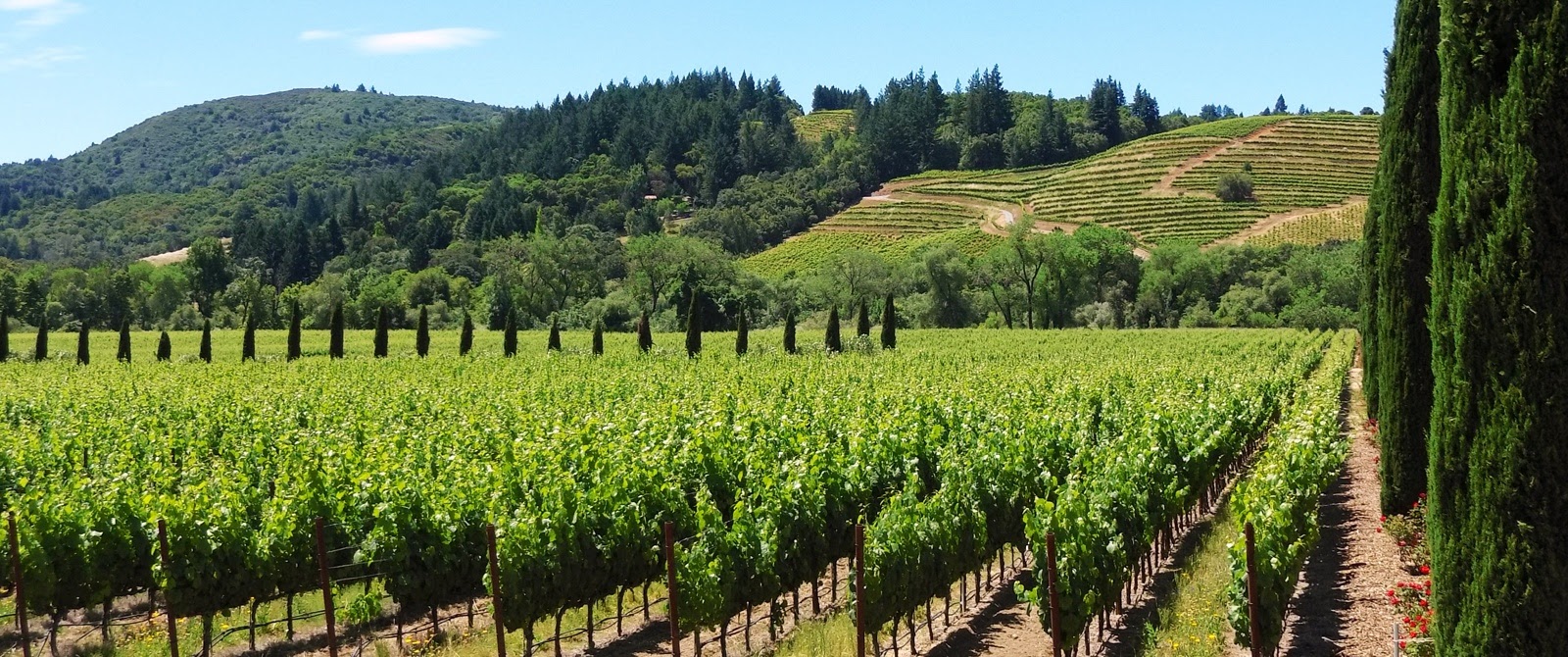 Wine Country Tours