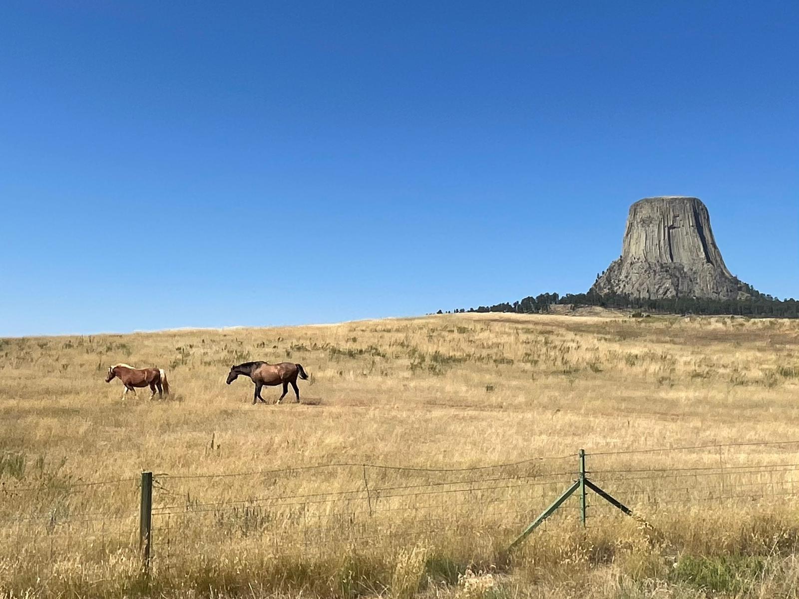 Enter State #6 and ride by Devil's Tower