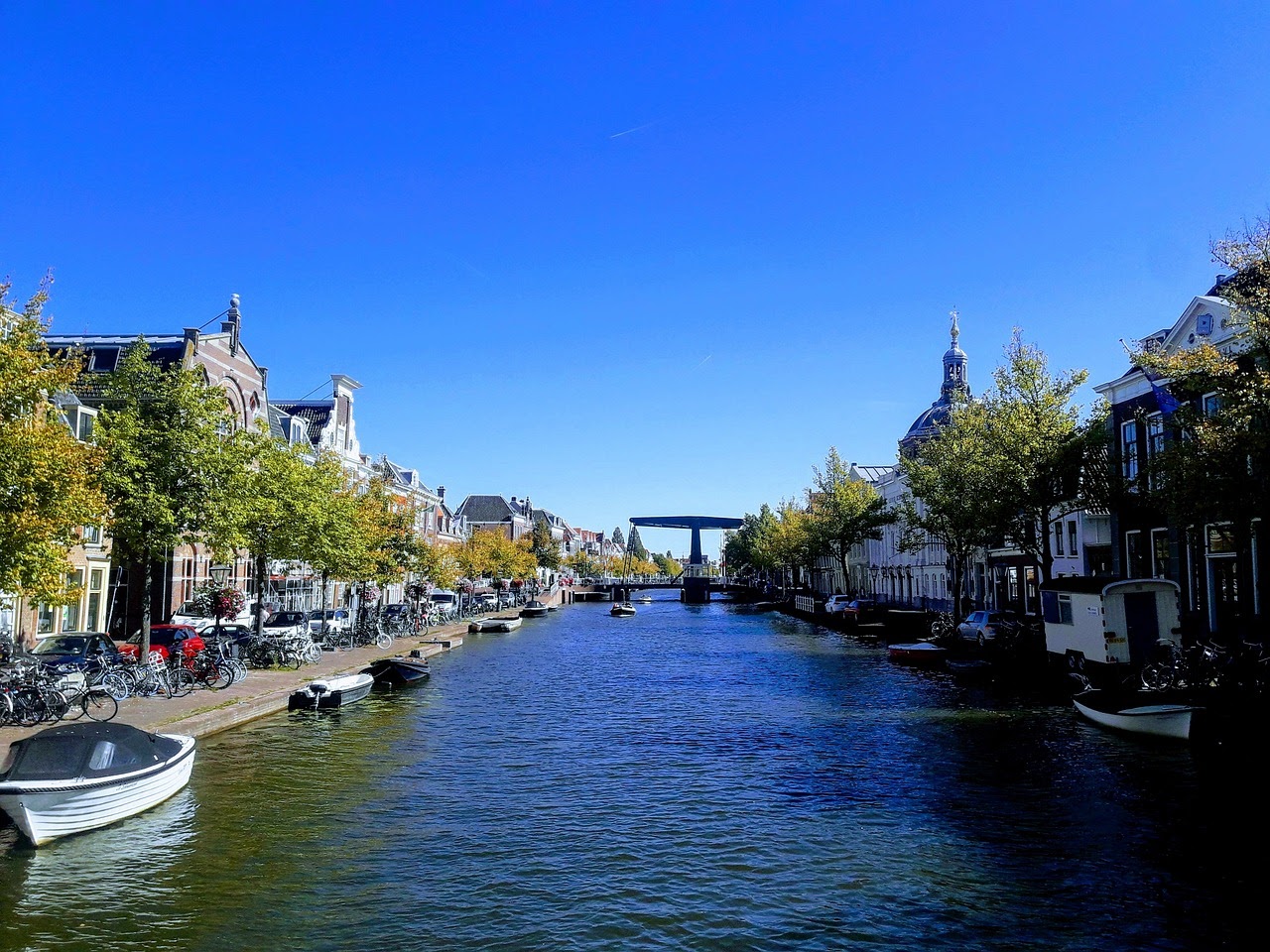 Discover the flower region and the city of Leiden 