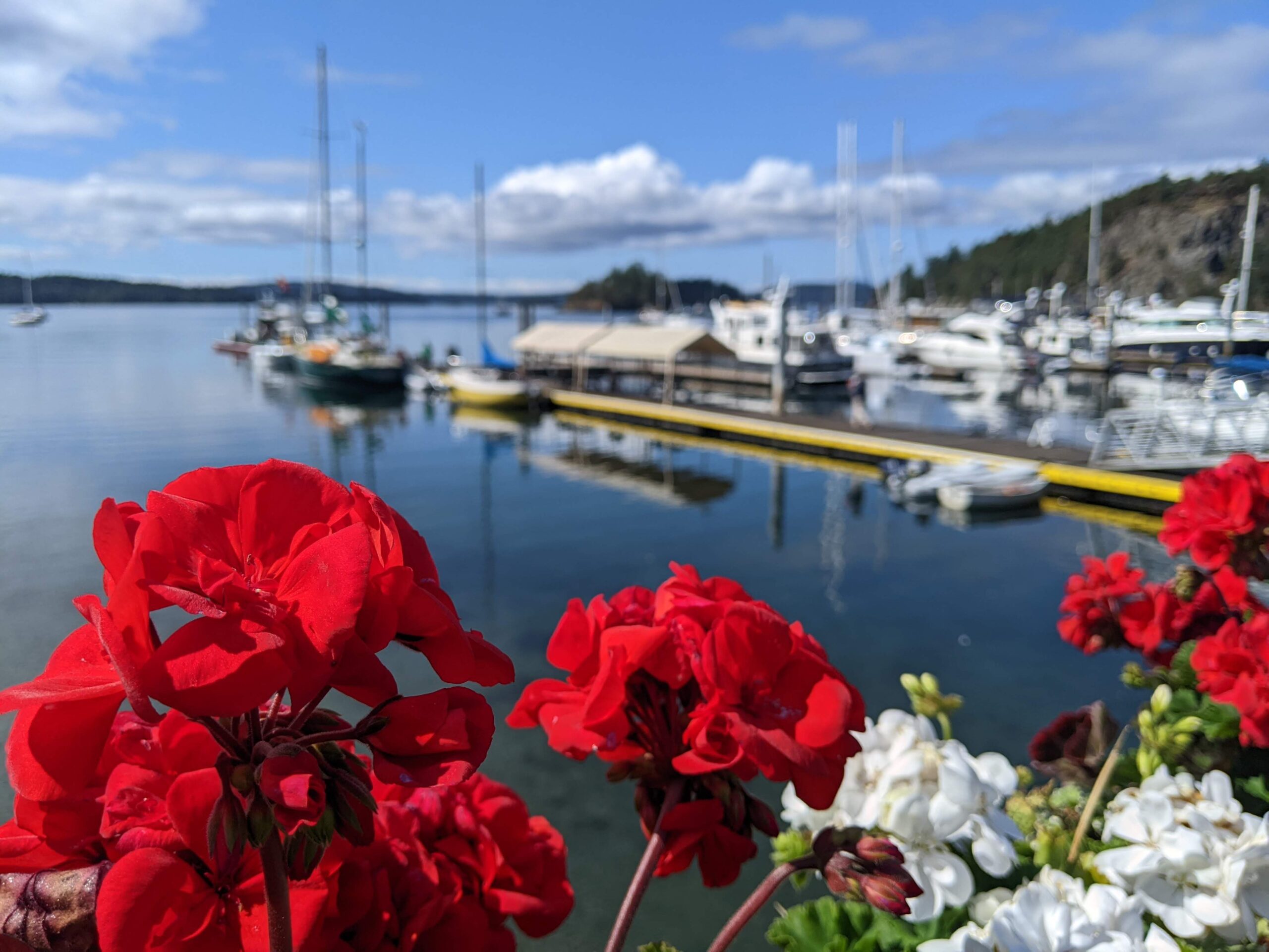 The splendor of the Pacific Northwest's scenery