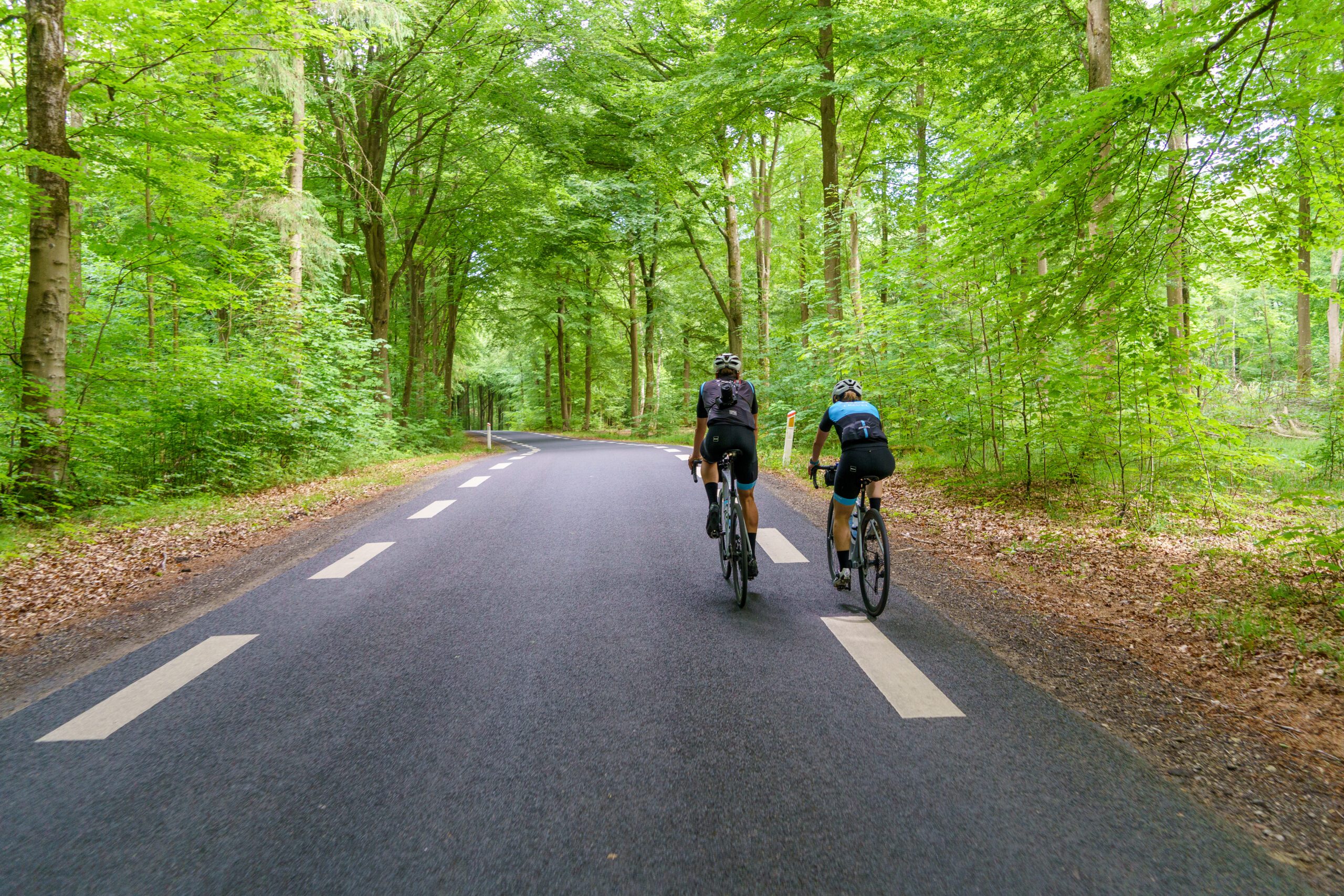 Sweden Bike Tours