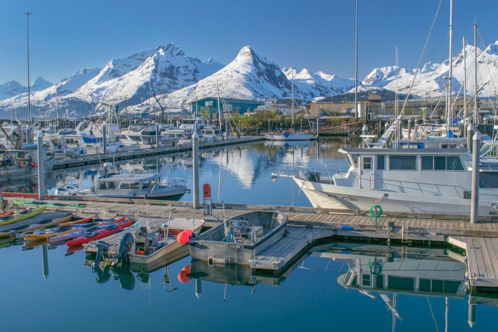 Alaska Bike Tour