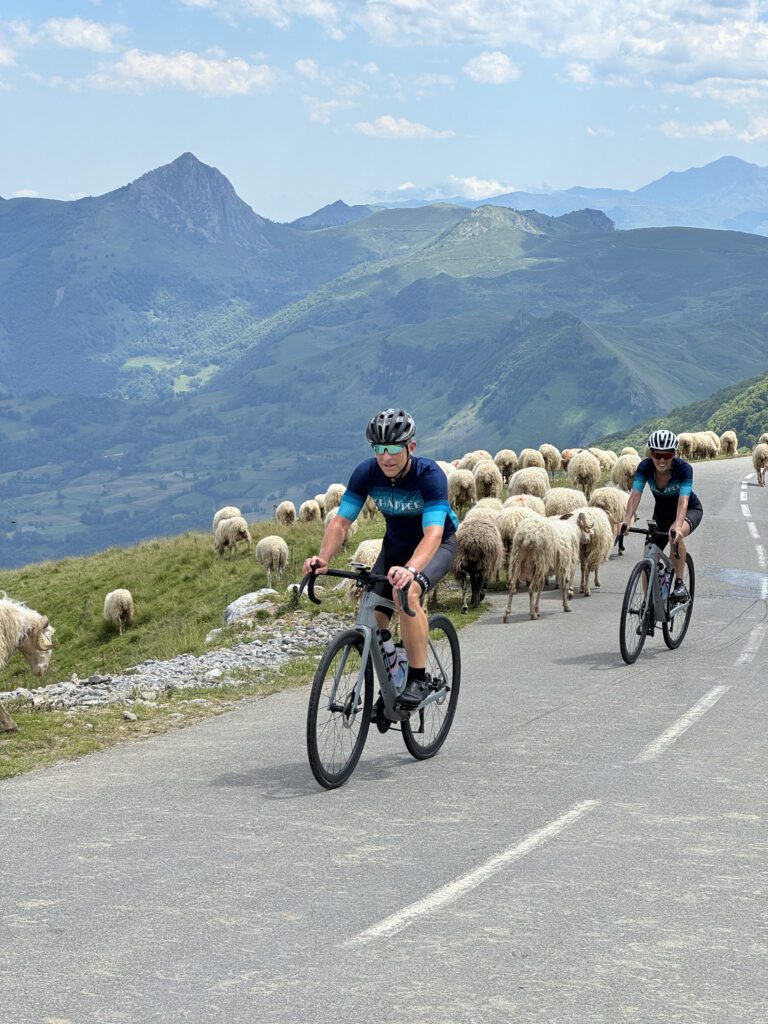 Tour de France VIP Access: Epic Climbs of the Tour 2025