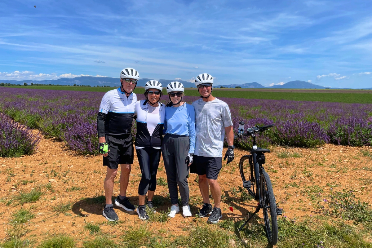 Lavender Fields