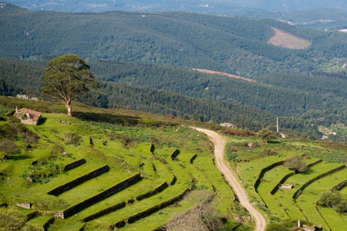 Serra De Monchique Range
