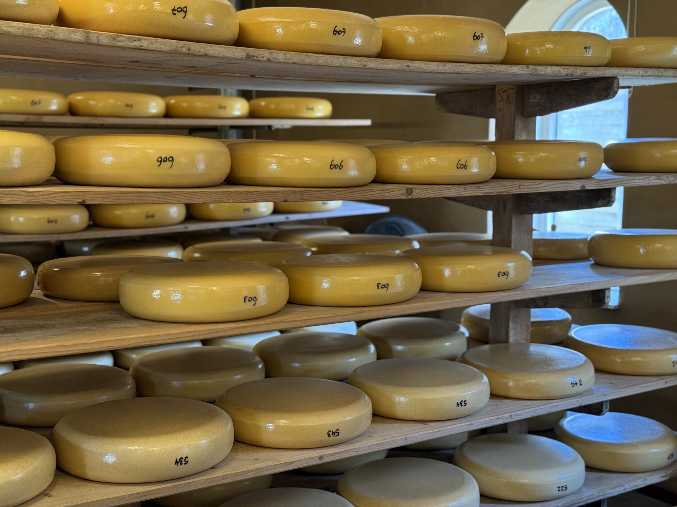 Visit an authentic Dutch cheese farm