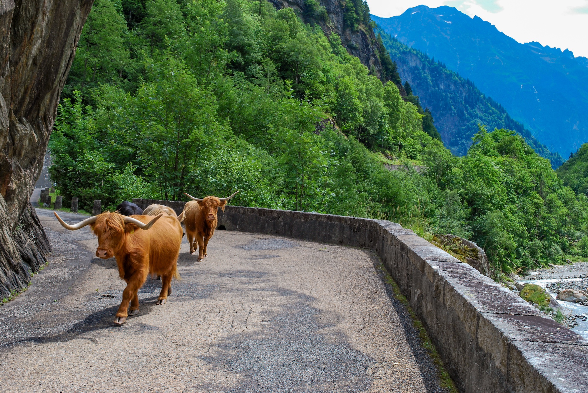 Classic Climbs: Switzerland - Trek Travel