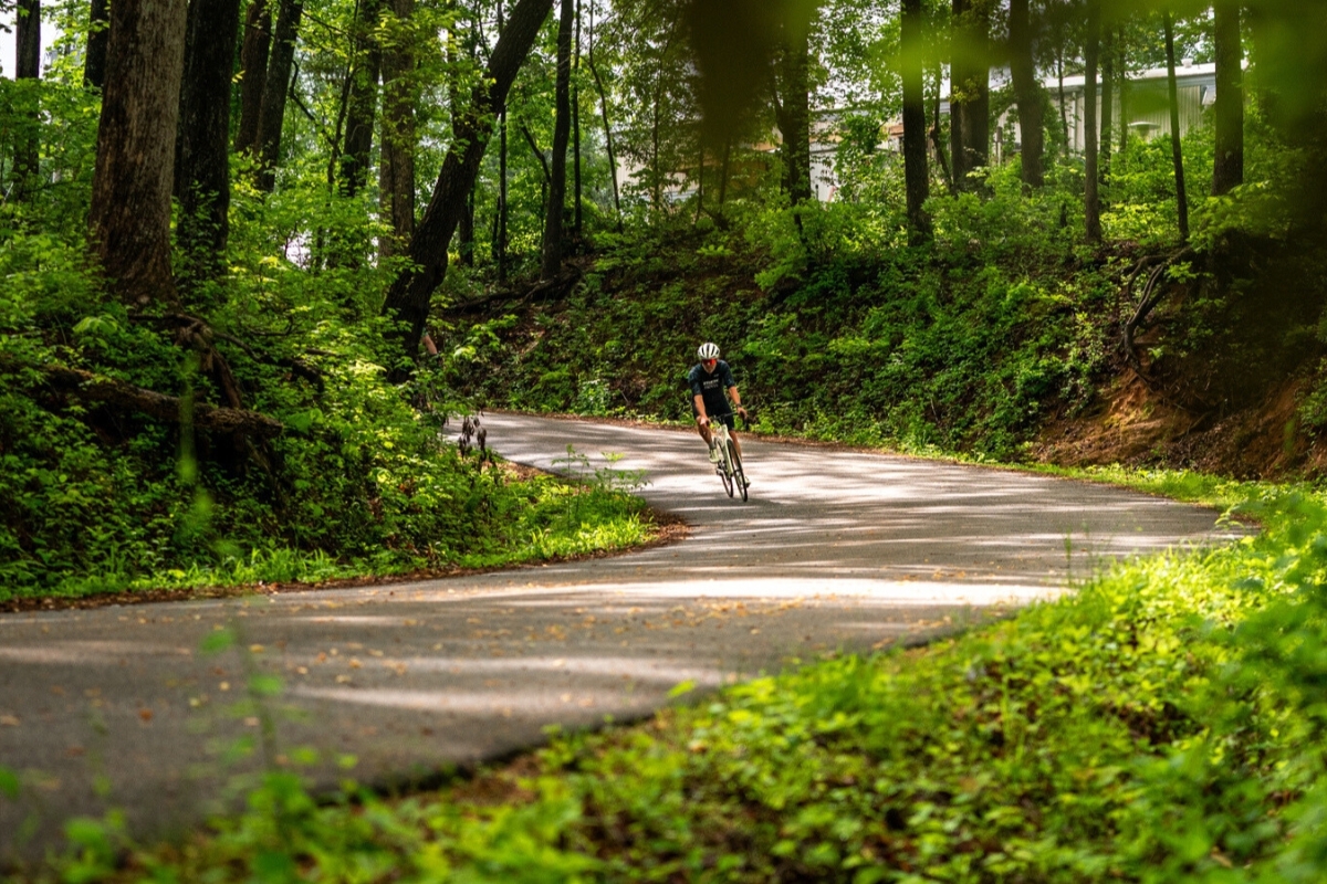 Transition to Greenville