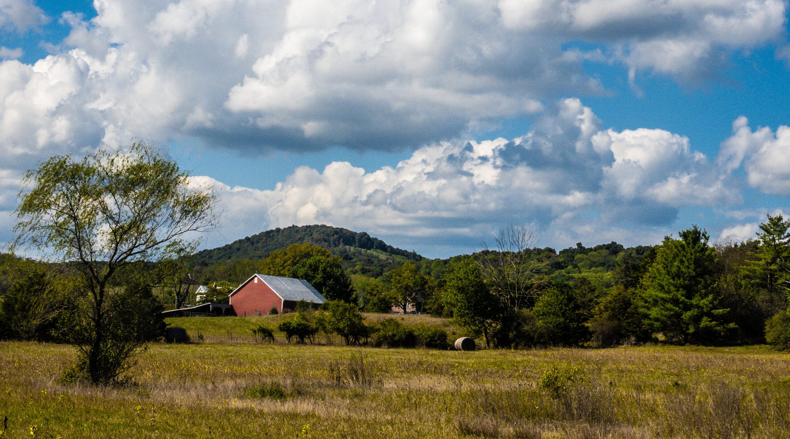 Virginia Bike Tours