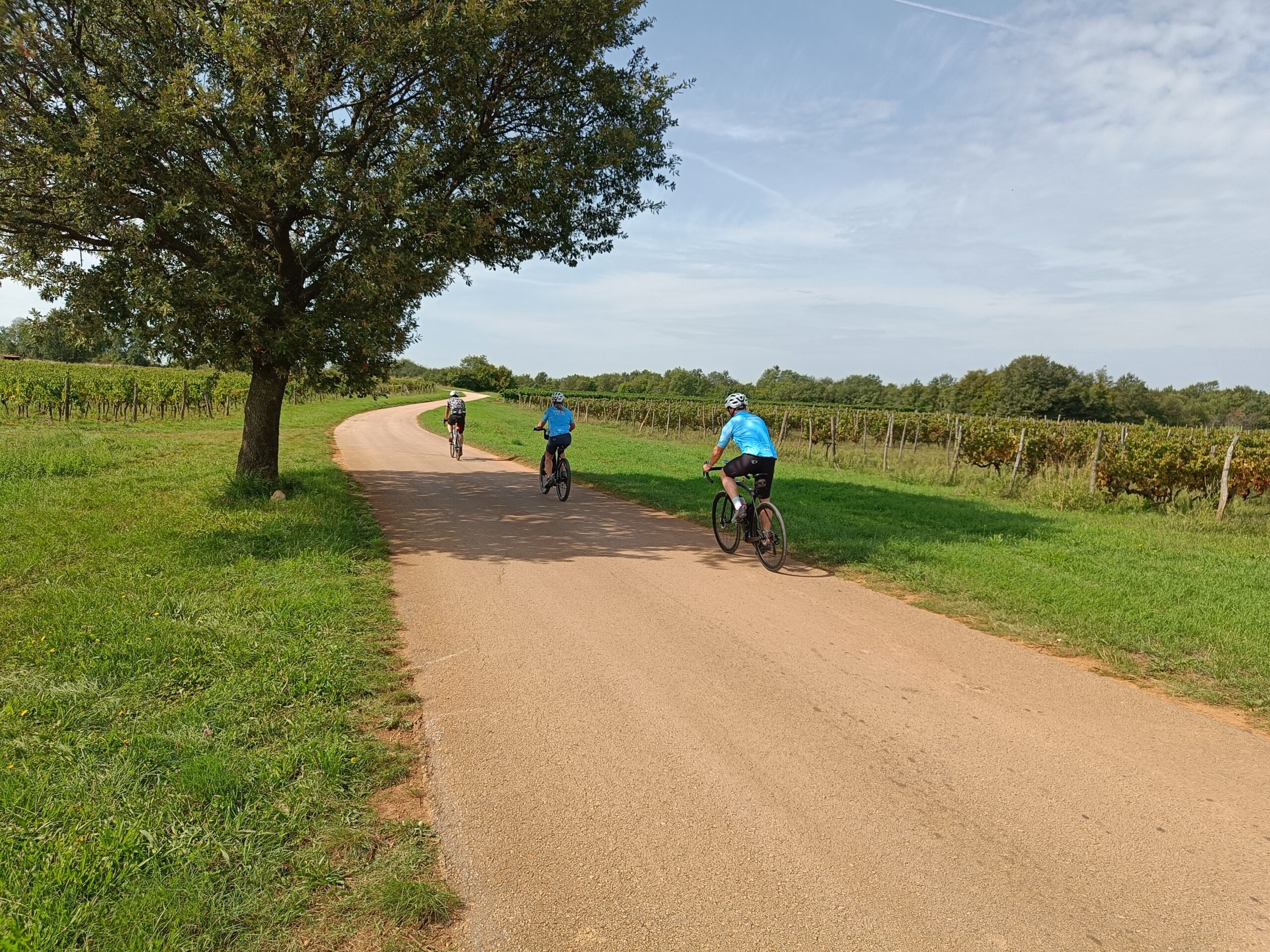Slovenia to Croatia Bike Tour 2027