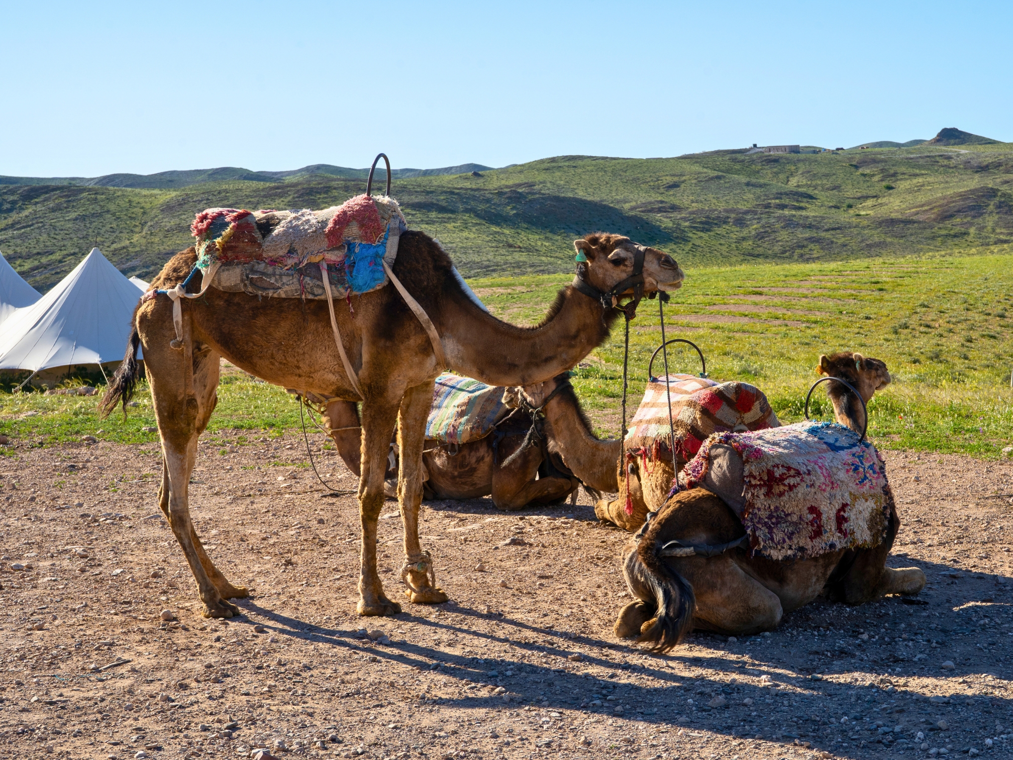 Morocco Gravel Bike Tour